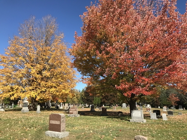 Bellevue (aka Conroy) Cemetery, Aylmer, Gatineau, Outaouais, Quebec